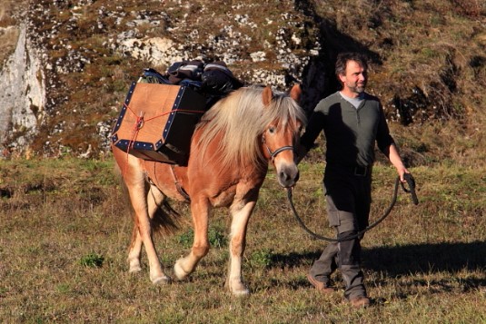 Wandern mit Pferd, Muli, Esel. Packsattel Baron